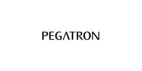 Ремонт техники Pegatron